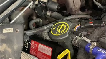 6.0 powerstroke injector harness