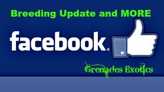 Famous Breeding Update & MORE Net Worth