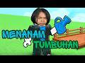 GUA AKAN MENANAM TUMBUHAN | ROBLOX #livegame
