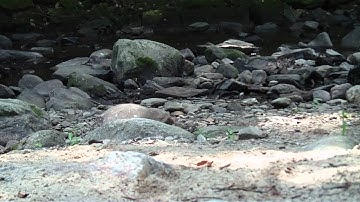 AXIAL SCX 10 UPGRADE TEST RUN  #  3   CONN. PART "A"  001.MP4