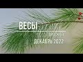 Декабрь 2022 для знака Весы, астрологический прогноз