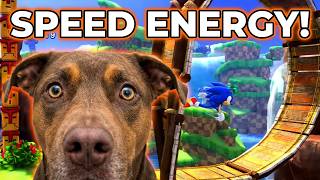 Sonic x Shadow Generations Brings Pure Speed Energy Animal Lovers Will Enjoy