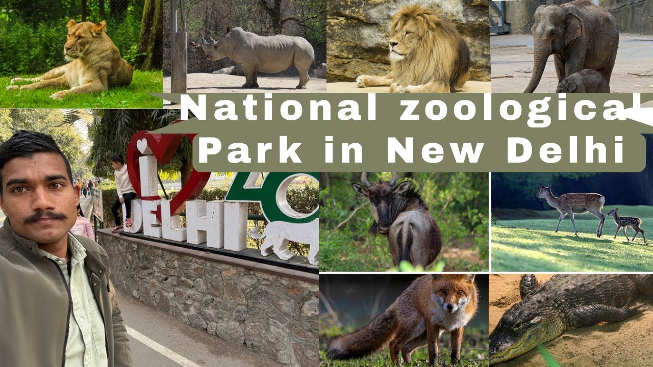 National zoological park in New Delhi 