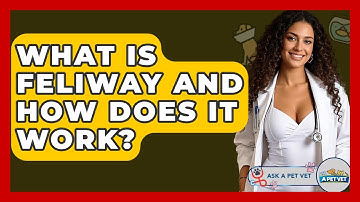 What Is Feliway And How Does It Work? - Ask A Pet Vet