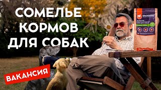 Сомелье корма для собак. Интервью по вакансии сомелье сухого корма, в студии Регион LIVE.