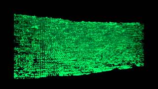 Cell Death and Disease : Muscle-specific Drp1 overexpression impairs skeletal muscle growth...