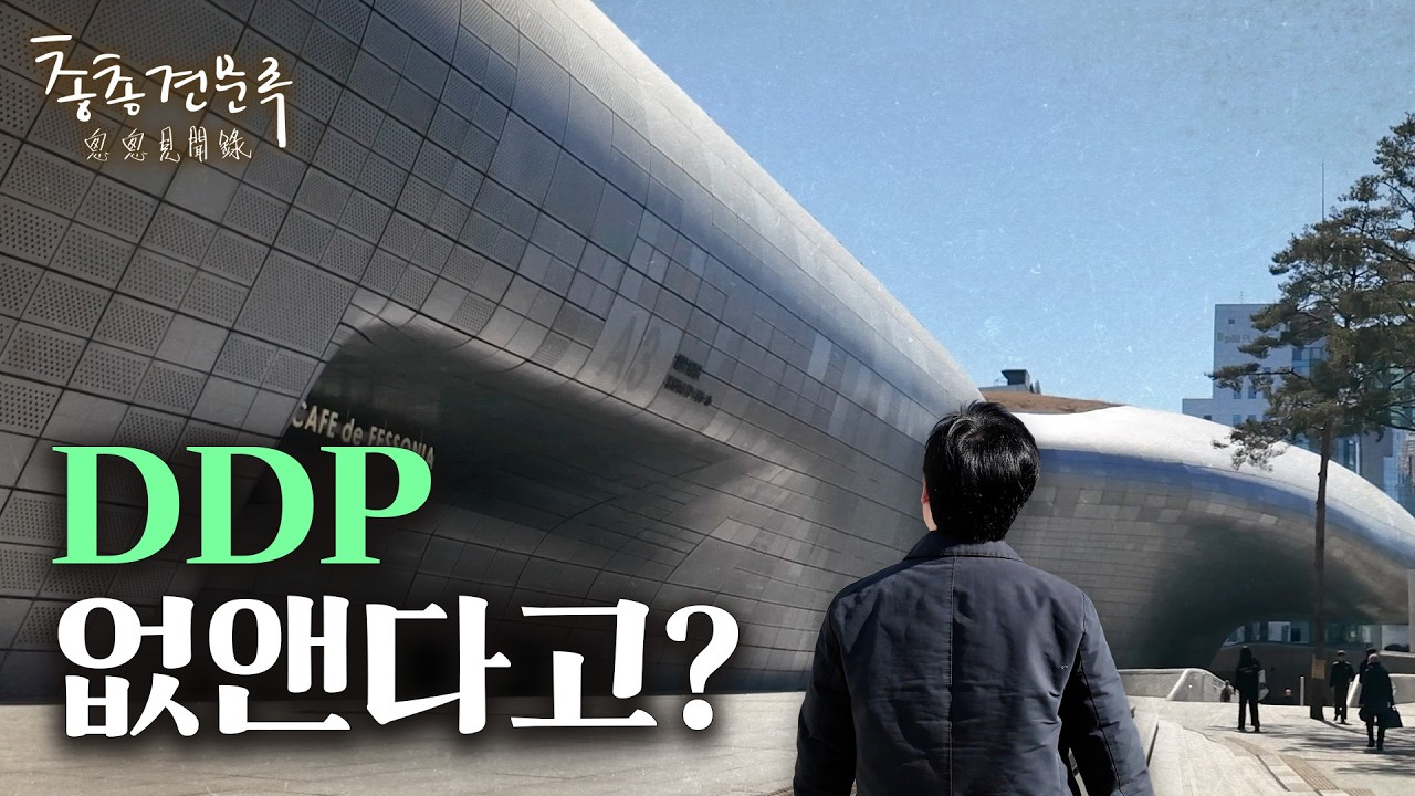 DDP는 성공일까 실패일까 | 총총견문록 [4K]