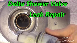 Delta Single Handle Shower Valve Leak Repair 13/14 Series