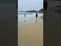 신지도에 명사십리 해수욕장 신지도에 명사십리 해수욕장