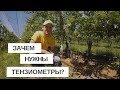 ДЛЯ ЧЕГО В САДУ ТЕНЗИОМЕТРЫ?/ КАК ОПРЕДЕЛИТЬ ВЛАЖНОСТЬ ПОЧВЫ?