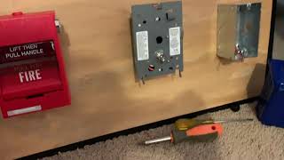 Famous Mini System Test 6 Net Worth