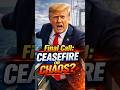 Trump’s Final Call: Ceasefire or Chaos? | Political Satire Explained