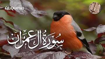 Surah Ali 'Imran | Abdul Rahman Jamal Aloosi | BEAUTIFUL RECIATAION | سورة ال عمران|