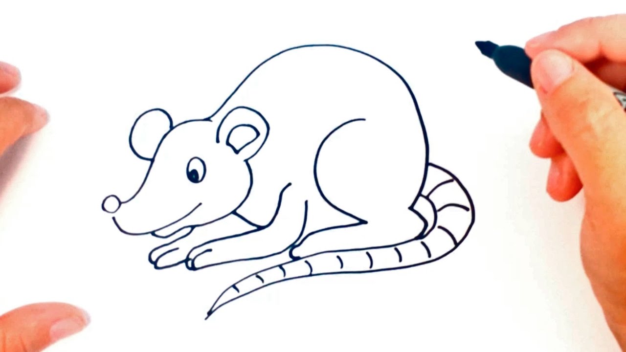 Cómo dibujar una Rata paso a paso | Dibujo fácil de Rata - thptnganamst.edu.vn
