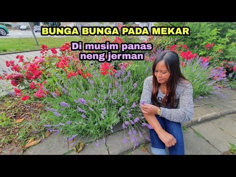 Video: Bunga Apa Yang Mekar Pertama Kali Di Musim Semi?