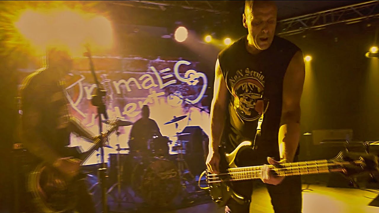 ANIMALES MUERTOS - Necesitas Speed / Véndemelo (Manolo Kabezabolo) directo Madrid 2024