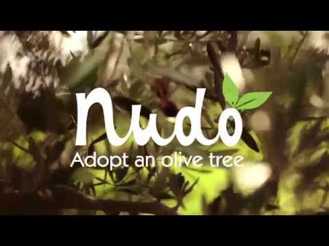 Nudo Adopt - About Us