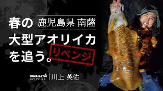 春の大型アオリイカ リベンジ編！エギングマイスター川上英佑が挑む ～鹿児島県南薩エリア～