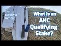 What is an akc qualifying stakeowner handler qualifyingthe retriever nation