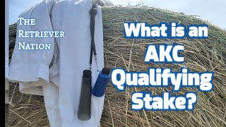 What is an AKC Qualifying Stake?~Owner Handler Qualifying~The Retriever Nation