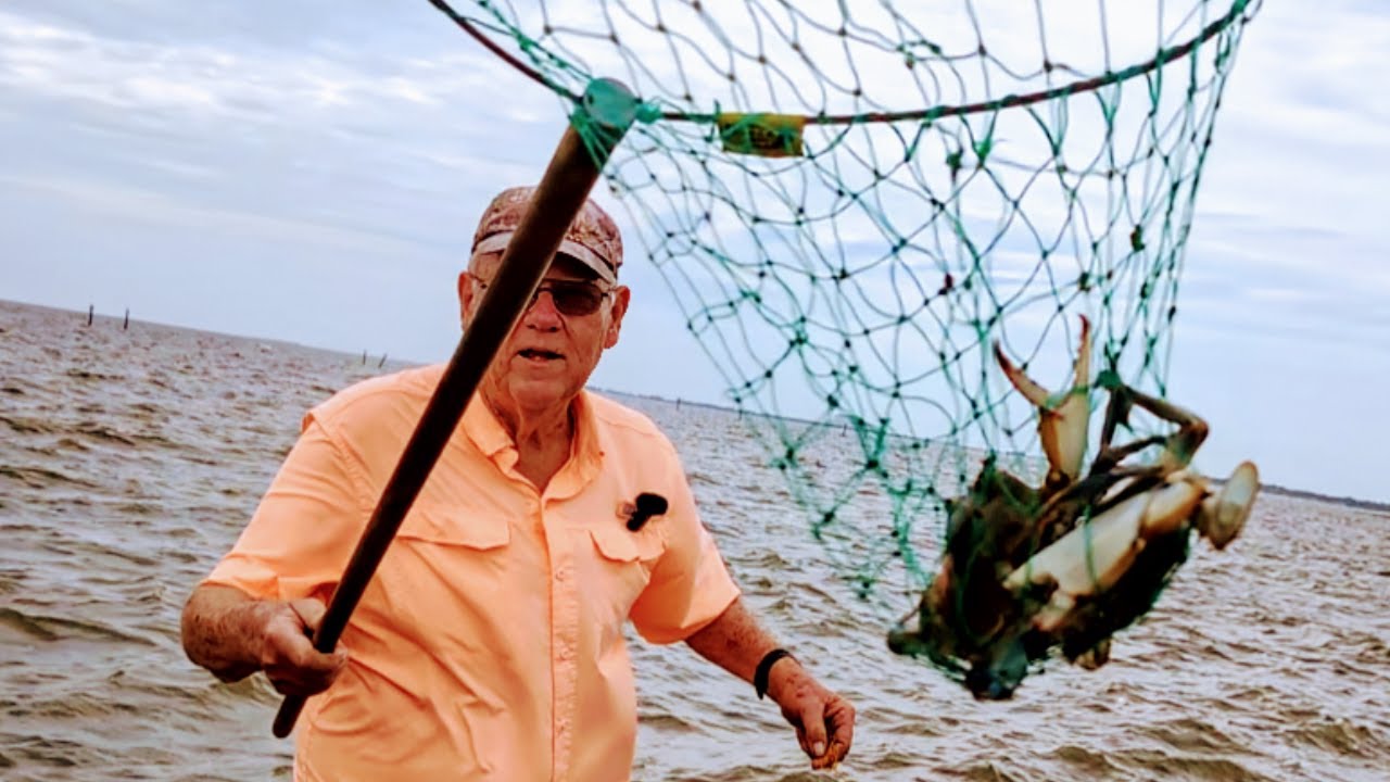 I Couldn't See The Crab