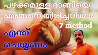 How to find old queen/#beefarming #honeybeefarming #honeybee #dasfamouschannel #malayalam #honey