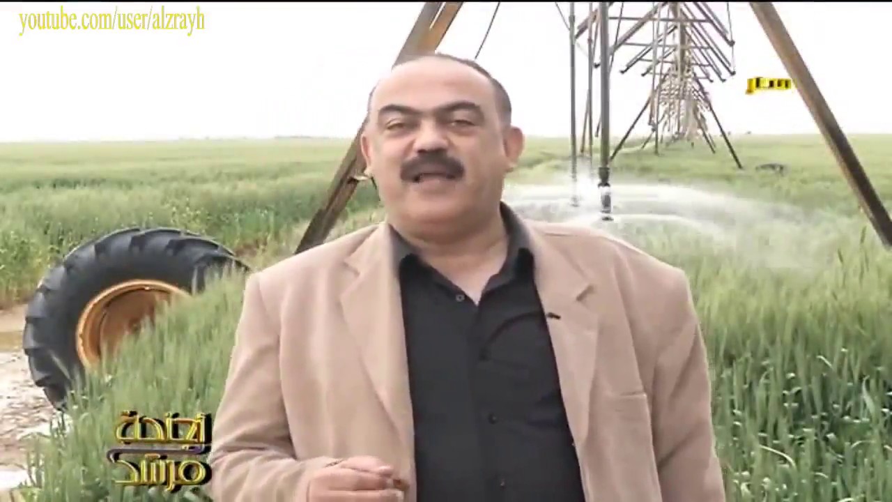 زراعة القمح رى محورى وتاثير استخدام المخصبات الحيوية على الانتاج