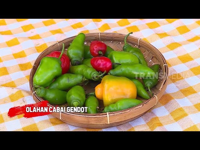 Olahan Cabai Gendot Ragam Indonesia 04 09 19 Youtube