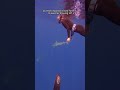 Do you think I am going to die? #SharkDance #SharkDiving #OceanRamsey #SharkShorts #SharkWoman #OMG