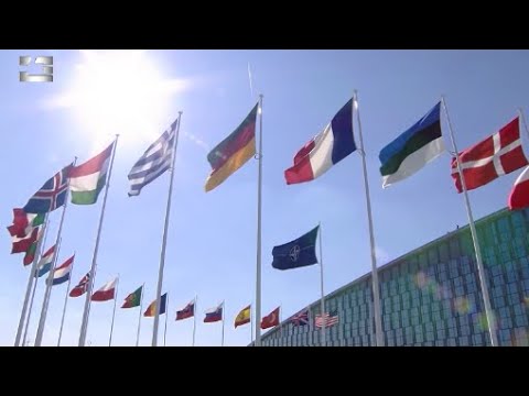 რატომ ვერ მოხვდა საქართველო ნატო-ს წევრი ქვეყნების გვერდით