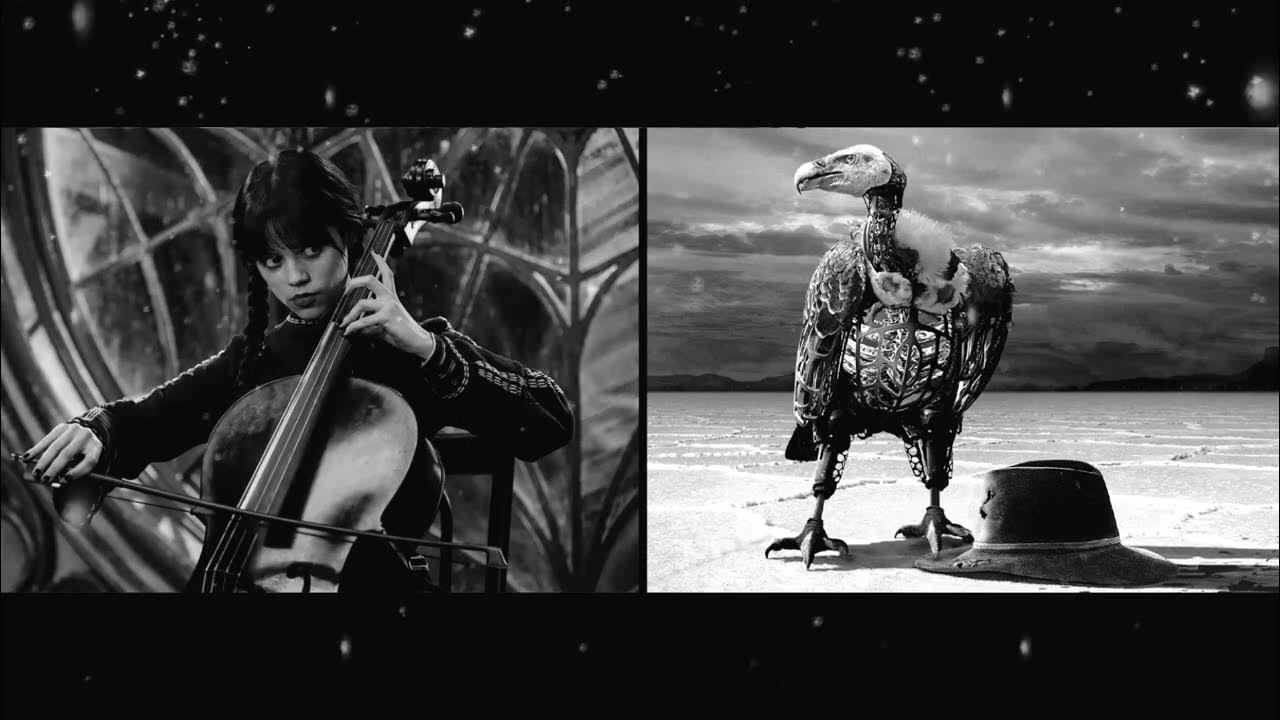 Paint it, Black (Westworld vs Wednesday EPIC MIX) YouTube