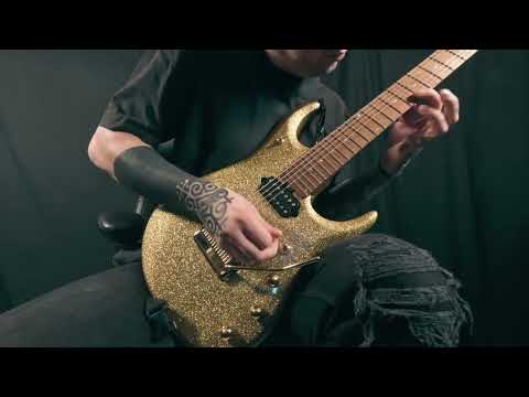 IMMORTAL DISFIGUREMENT- Josh Freeman - Throne of Flies (Solo)