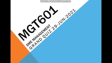 MGT601 – SME Management Grand Quiz in Urdu/Hindi