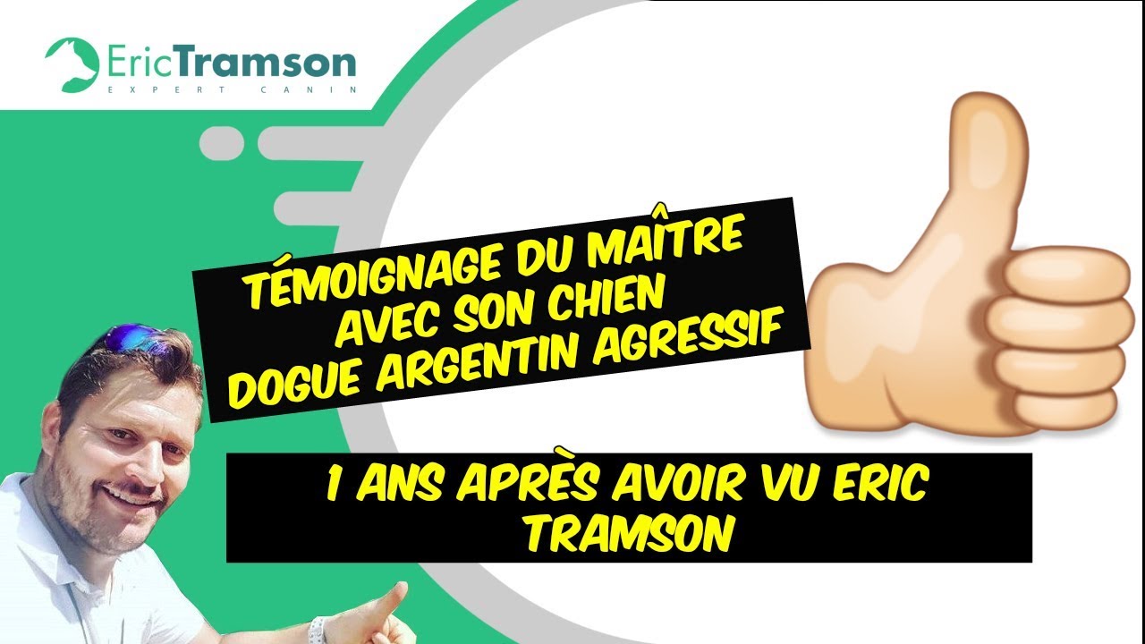 1 ans après avoir vu eric tramson, témoignage du maître avec son chien dogue argentin agressif - YouTube