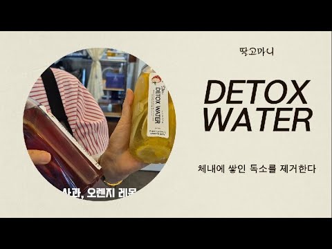 과일만 넣은 물? 디톡스 워터 솔직 후기!