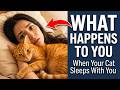 What Happens To You When You Let Your Cat Sleep With You Every Night