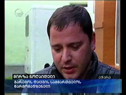 ძაღლებისგან დაკბენილი ირემი