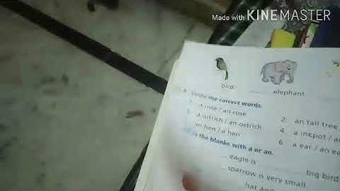 Class 1 Subject English Grammar Chapter 12