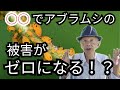 【裏ワザ】殺虫剤ナシでアブラムシをゼロにする方法を徹底解説！！