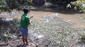 Buồn buồn câu cá chơi không ngờ dính cá khủng||Minh duc mt||