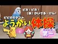 おしゃべりインコ♪ピピのカタコトようかい体操第一♬【妖怪ウォッチ】/ Budgie's broken Monster's Exercise♪ [#053]