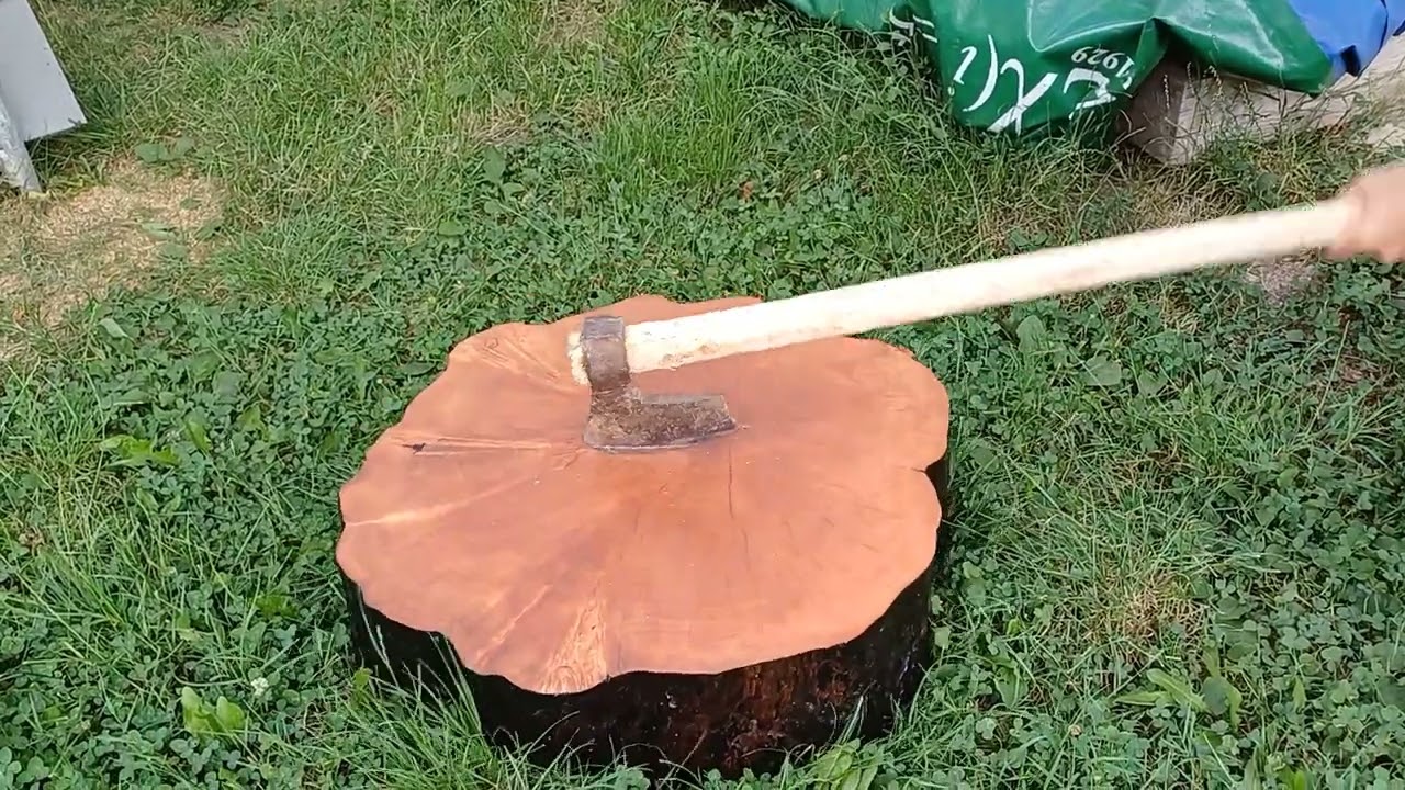 Atenție la carii de lemn!