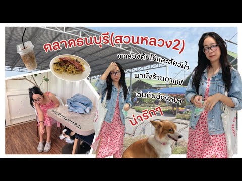 ตลาดธนบุรี(สนามหลวง2) พาเดินดูต้นไม้และสัตว์น้ำ - Mereview04