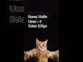 nama ku nadin umur 9 kls 3 kalo kalian??