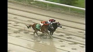 Thoroughbred Week - February 7th 2004