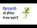 छिपकली 🦎 को इंग्लिश में क्या कहते हैं | #word meaning #vocabulary @letpractix 