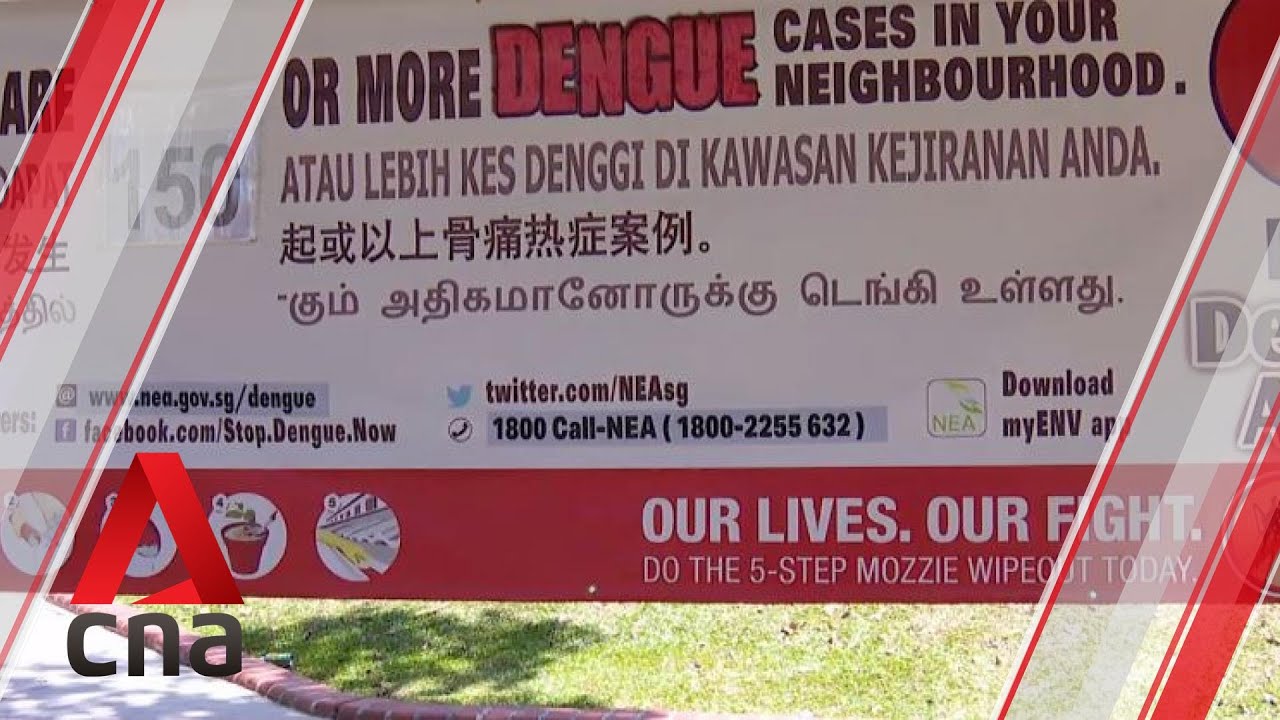Businesses Urged To Continue Doing Dengue Checks During Month Long Circuit Breaker Period Youtube