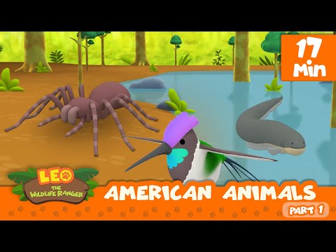 American Animals Minisode