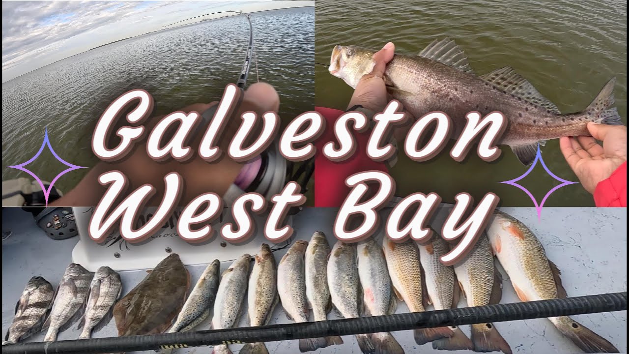 Epic Day of Non stop Actions at These Galveston West bay fishing spots