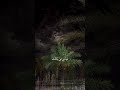 نصرت البدر مره على غيوم السما اكسبلور لايك تصويري تصميمي الفلوجة